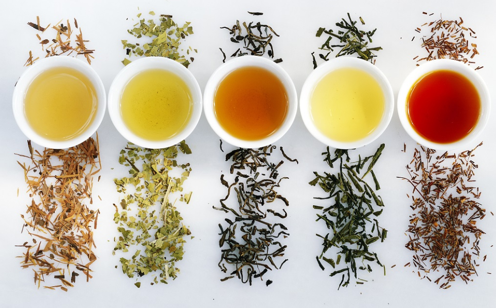 Thé vert et thé noir : quelles sont les différences ? - Thés de la Pagode