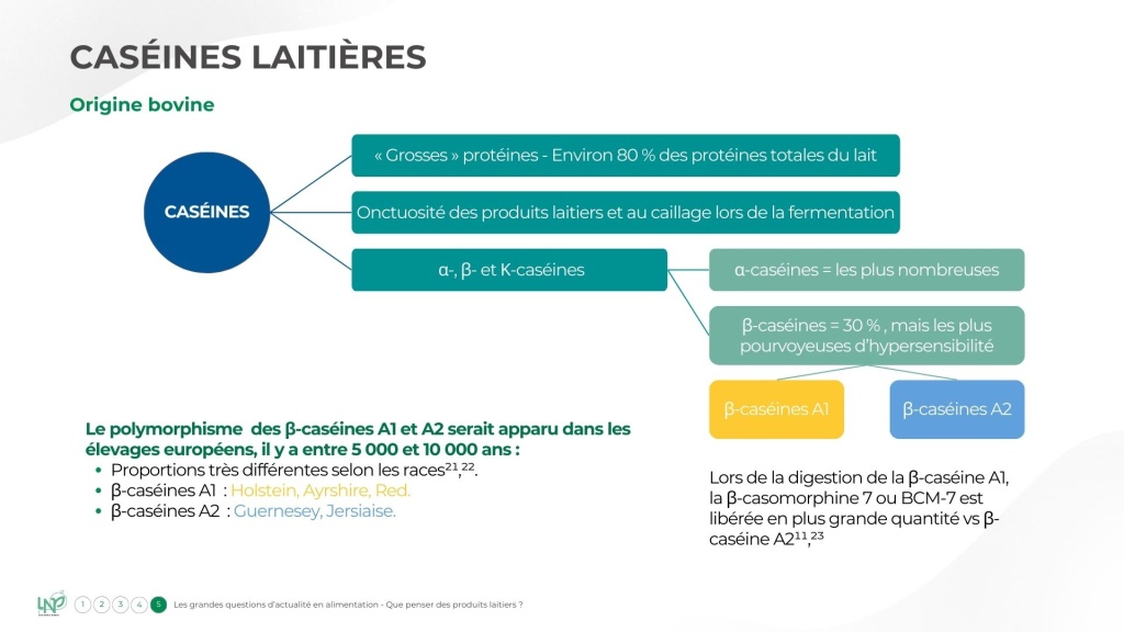 caséines laitières