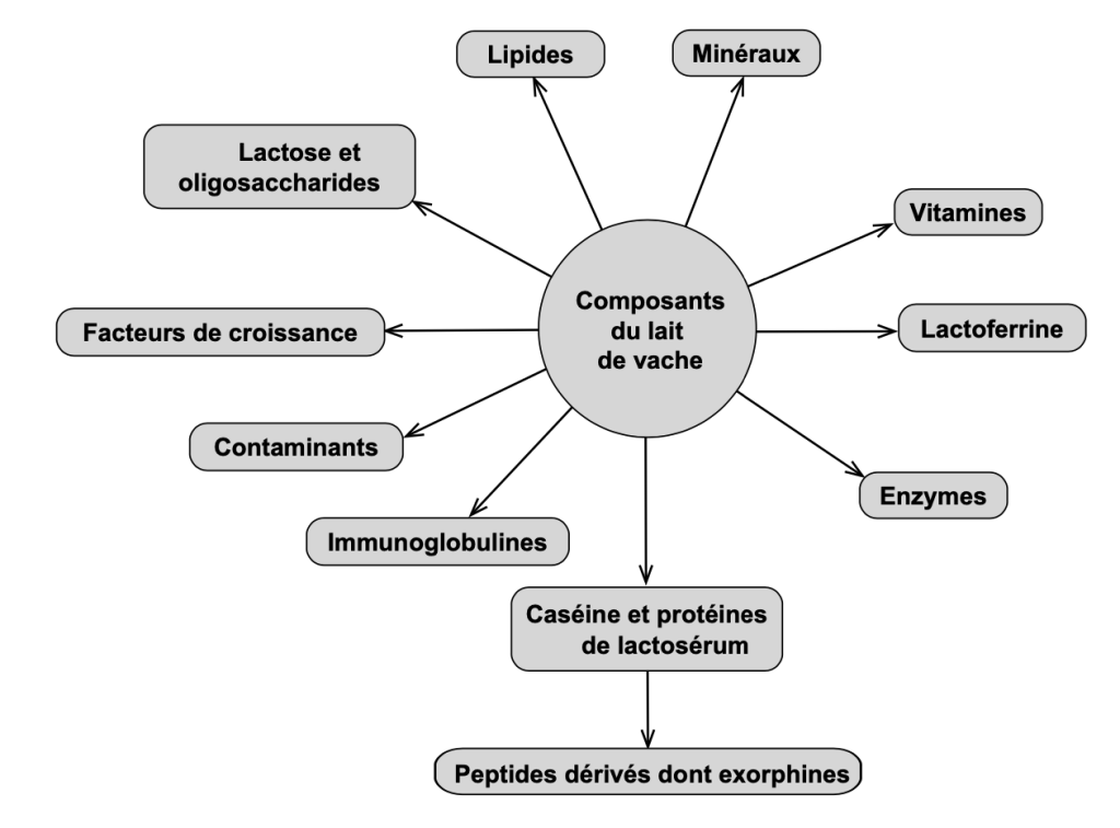 lait de vache