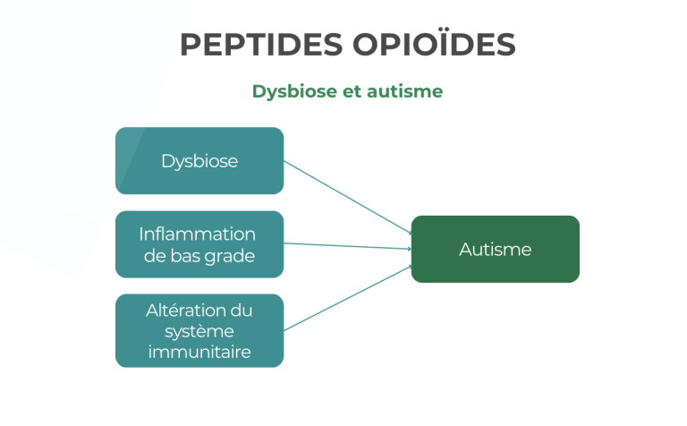 peptides opïoides - exorphines